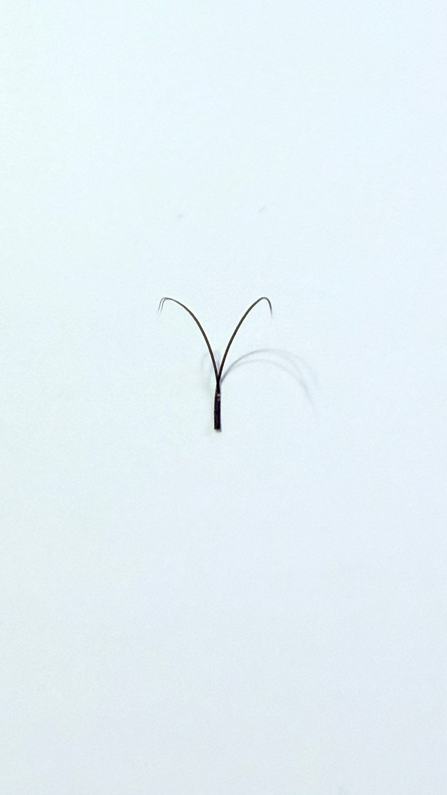 Dark Brown YY Eyelashes Extension Lashes Shaped 0.07 D MIX