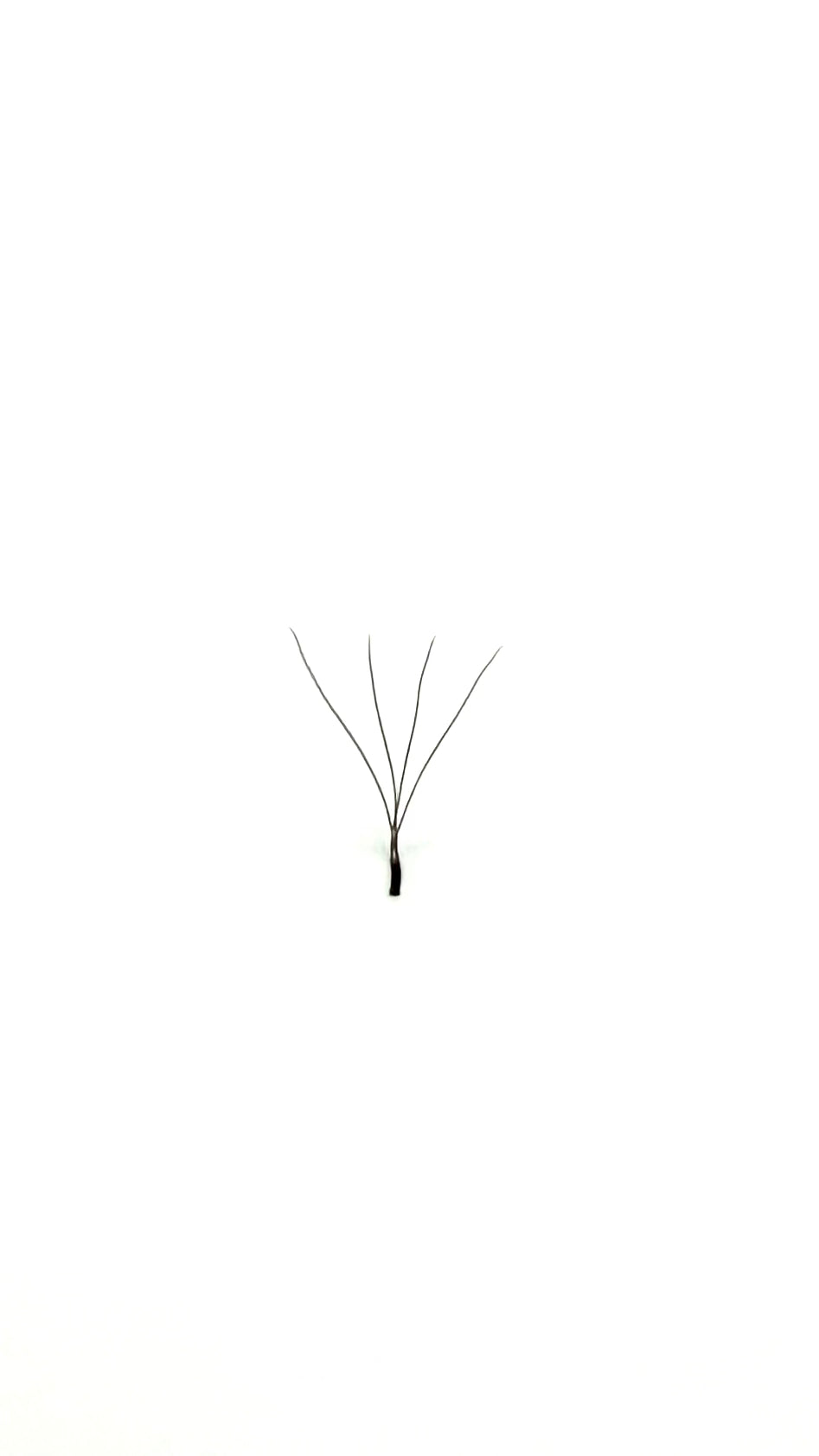 Dark Brown W 4D Eyelashes Extension Lashes Shaped 0.07 D MIX
